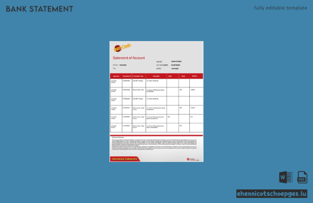 Pakistan Mobilink Microfinance Kontoauszug Word-Version 2 Beispielvorschau